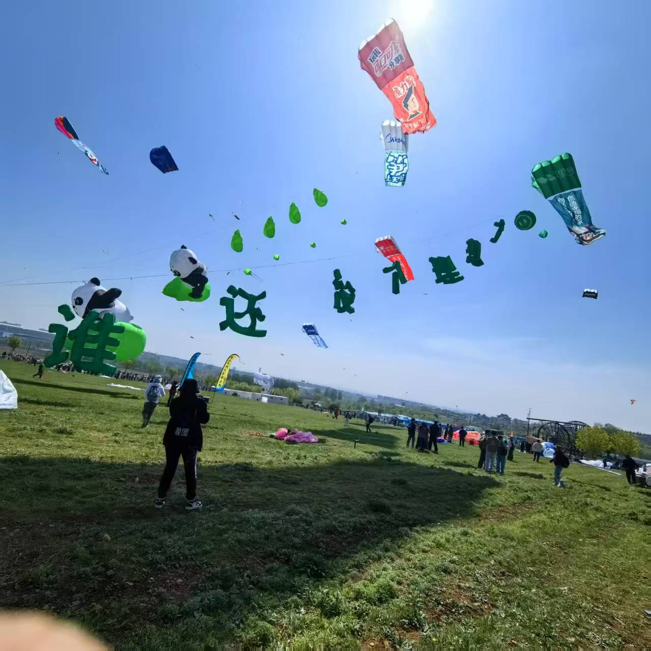 天津市软体风筝定制风筝定制 - 方案